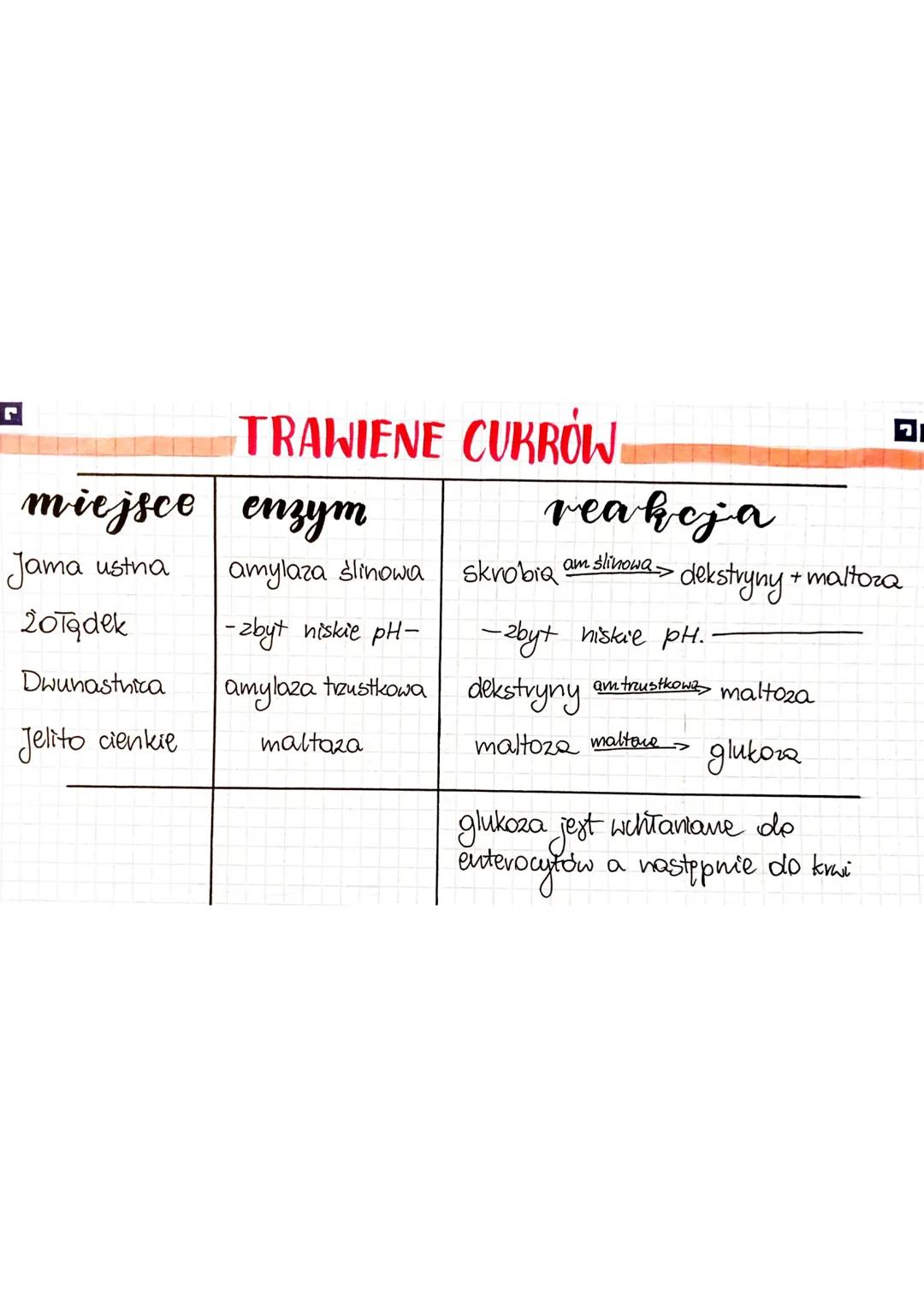 miejsce
Jama ustna
żołądek
Dwunastnica
Jelito cienkie
TRAWIENE CUKROW
enzym
amylaza ślinowa
- zbyt niskie pH-
amylaza trzustkowa
maltaza
rea