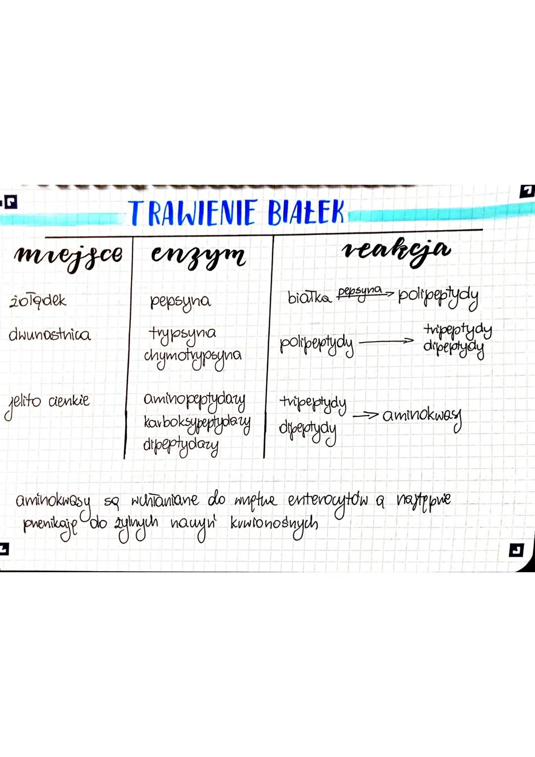 miejsce
Jama ustna
żołądek
Dwunastnica
Jelito cienkie
TRAWIENE CUKROW
enzym
amylaza ślinowa
- zbyt niskie pH-
amylaza trzustkowa
maltaza
rea