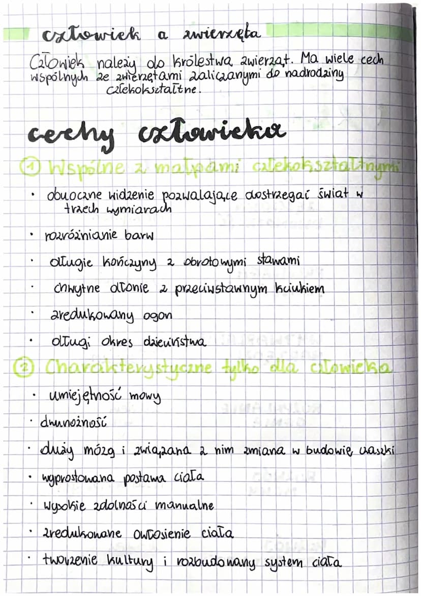 Pochoduris
wlowichs
Kuolucjur exłowieka
CZĘŚCIOWA
DWUNOINOść
PRZEWAGA
DHUNOŻNOŚci
WYTWARZANIE
NARZĘDZI
ROZPALANIE
OGNIA
Rozwós
MOWY
ROZWÓJ
K