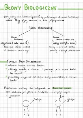 Know Błony biologiczne - białkowo-lipidowe thumbnail