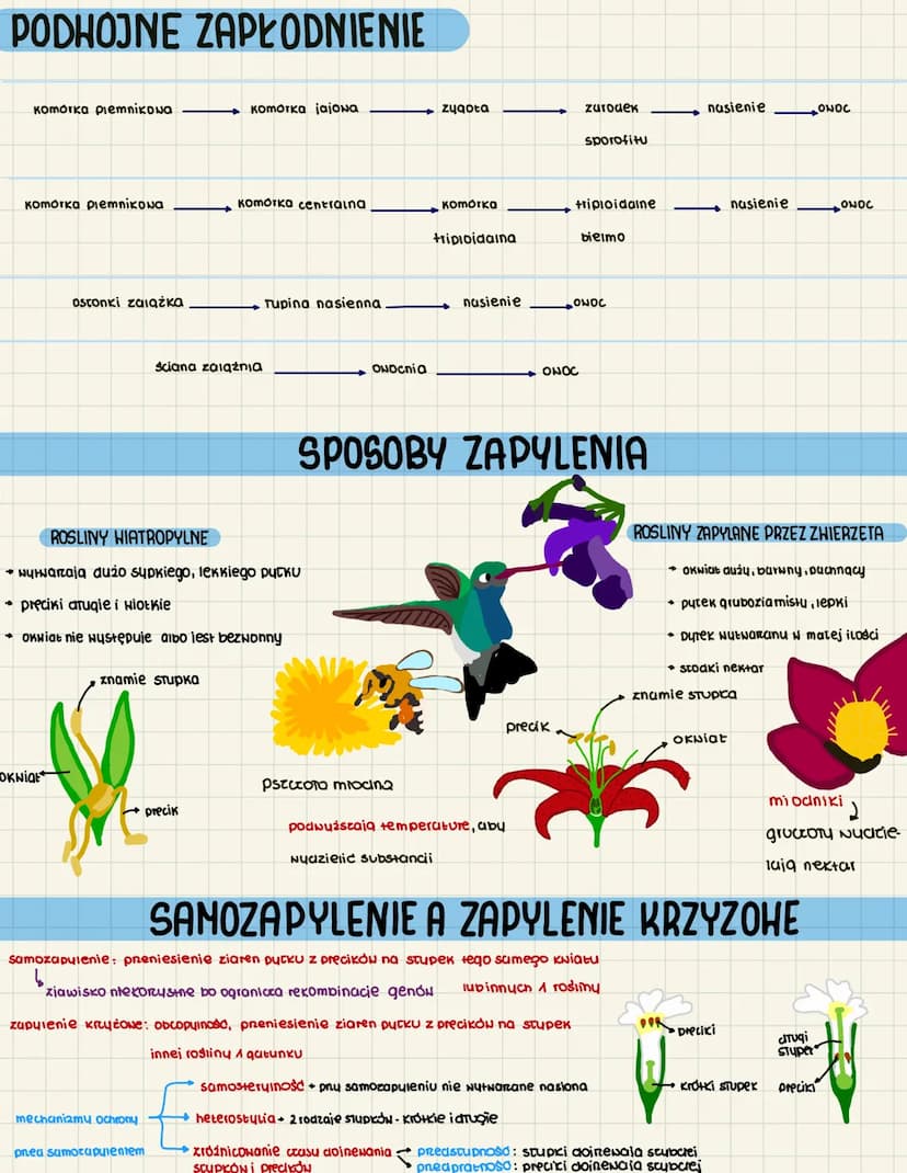 
<h2 id="lokalizacjarodowiskoldowe">Lokalizacja: Środowisko lądowe</h2>
<h3 id="cechy">Cechy</h3>
<ul>
<li>Zbiorniki wód stojących i słonych