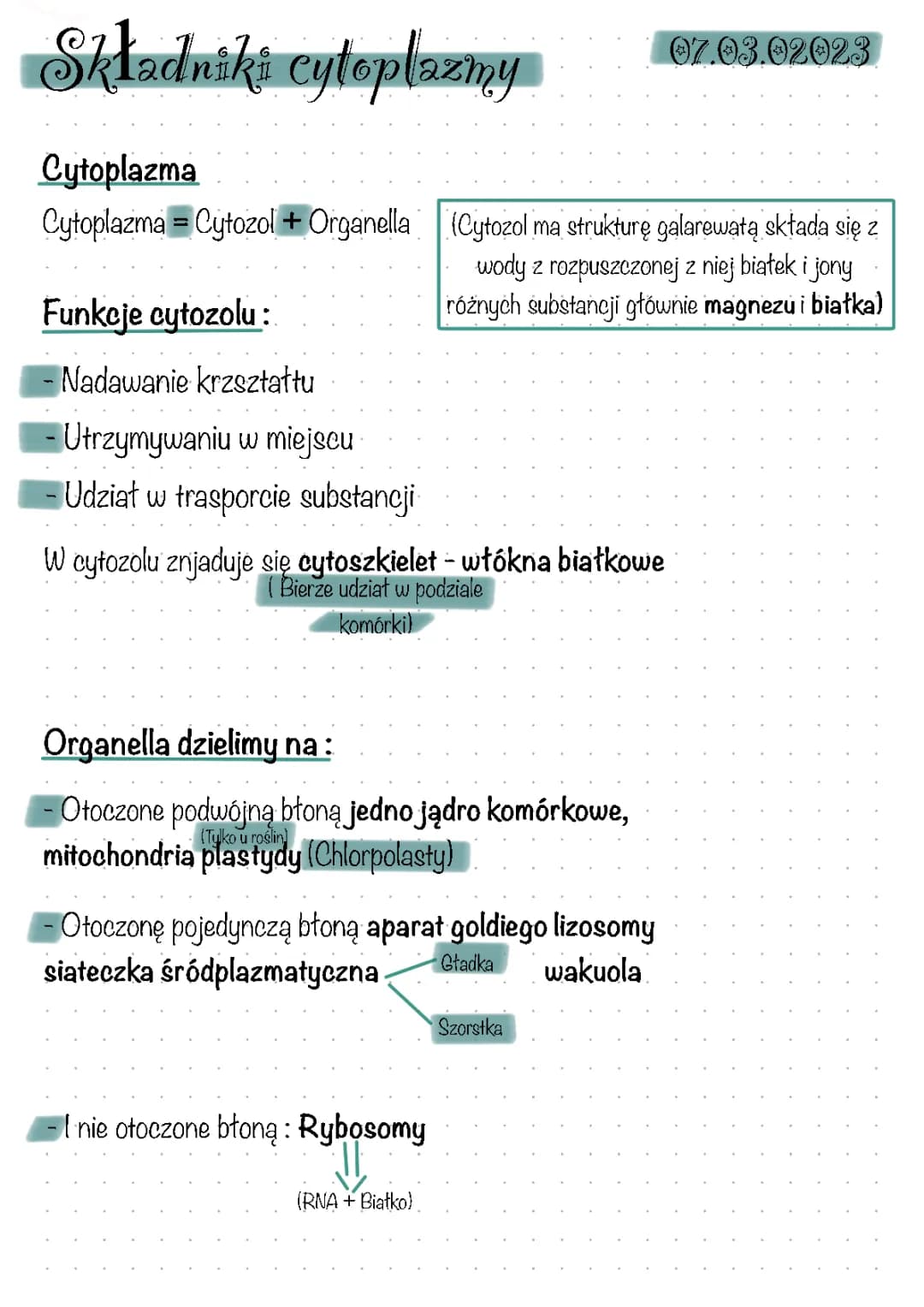 Składniki cytoplazmy