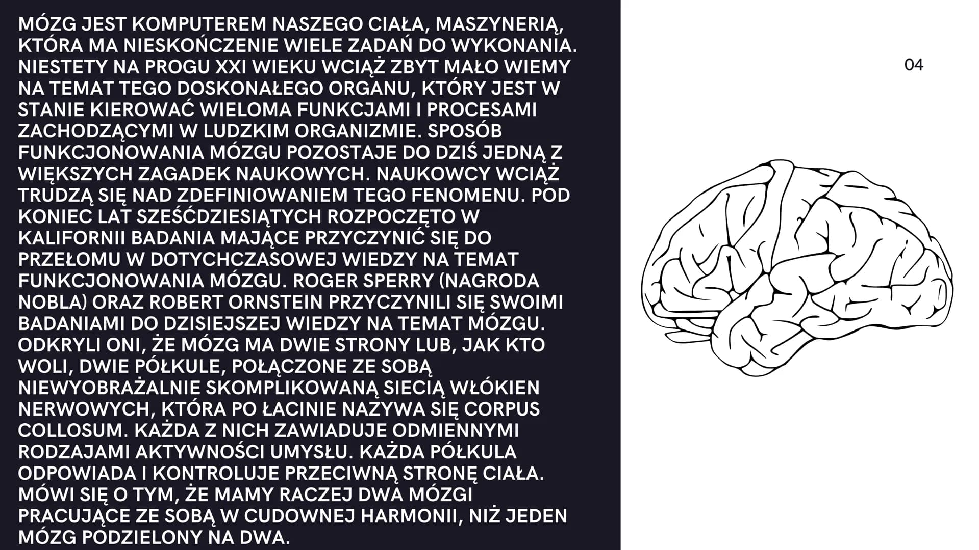 08.
V酒店
Mózg
Aleksander Kock
01 MÓZG JEST KOMPUTEREM NASZEGO CIAŁA, MASZYNERIĄ,
KTÓRA MA NIESKOŃCZENIE WIELE ZADAŃ DO WYKONANIA.
NIESTETY NA