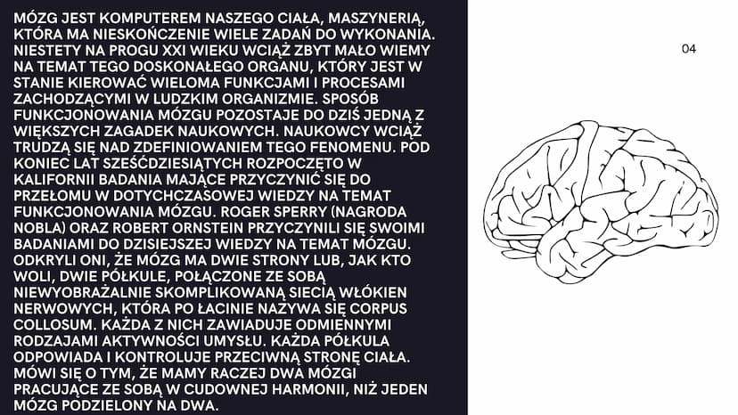 08.
V酒店
Mózg
Aleksander Kock
01 MÓZG JEST KOMPUTEREM NASZEGO CIAŁA, MASZYNERIĄ,
KTÓRA MA NIESKOŃCZENIE WIELE ZADAŃ DO WYKONANIA.
NIESTETY NA
