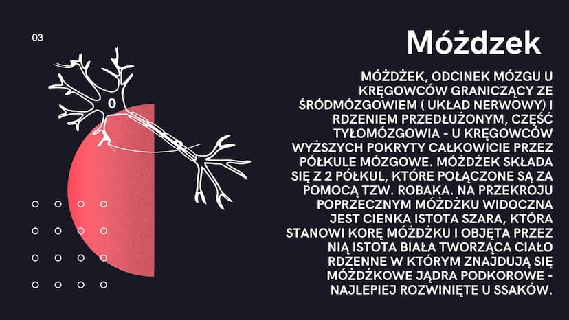 08.
V酒店
Mózg
Aleksander Kock
01 MÓZG JEST KOMPUTEREM NASZEGO CIAŁA, MASZYNERIĄ,
KTÓRA MA NIESKOŃCZENIE WIELE ZADAŃ DO WYKONANIA.
NIESTETY NA
