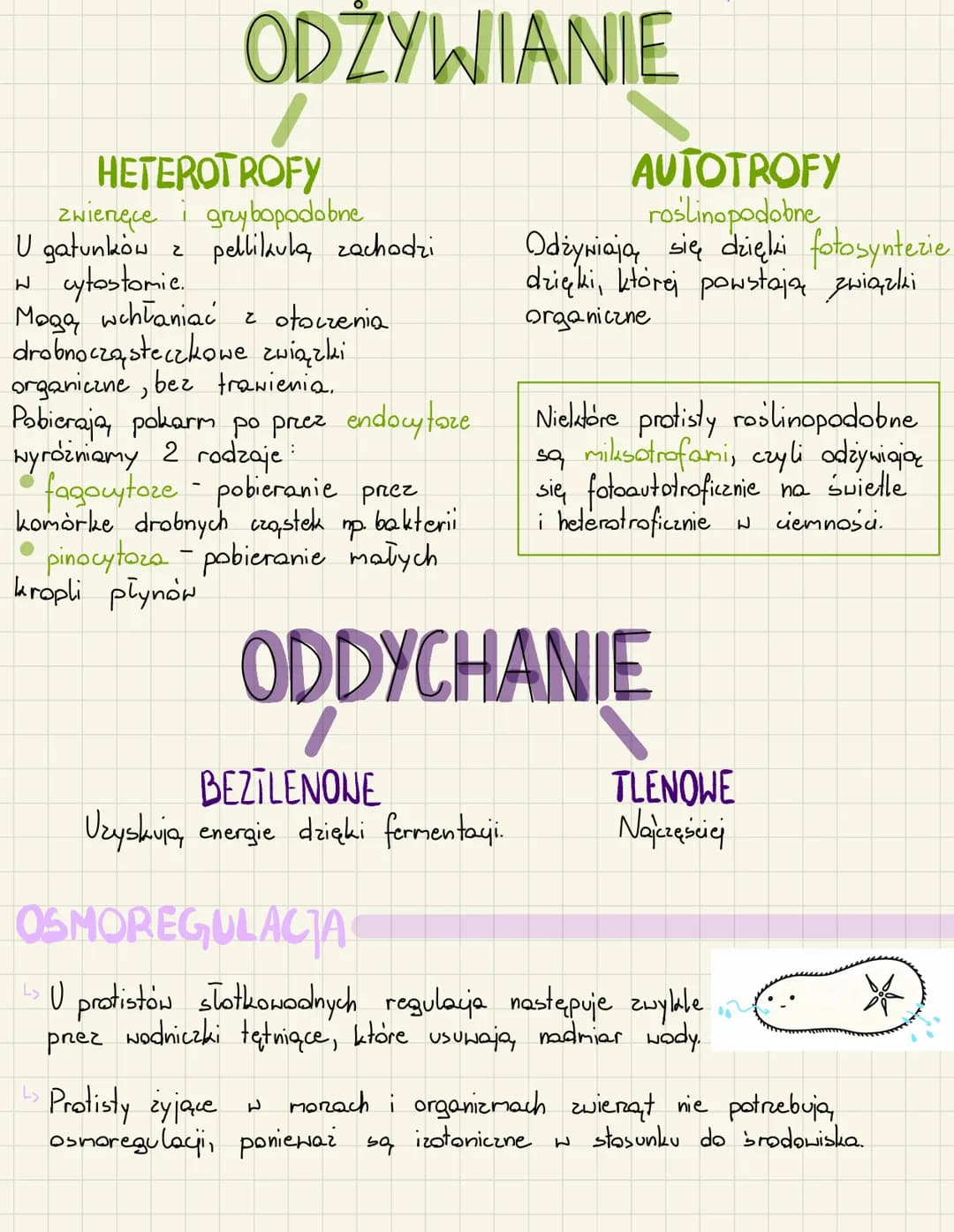 ODŻYWIANIE
HETEROTROFY
zwierzęce i grybopodobne
U gatunków z pellikula zachodzi
w cytostomie.
2
Maga wchłaniać z otoczenia
drobnocząsteczkow