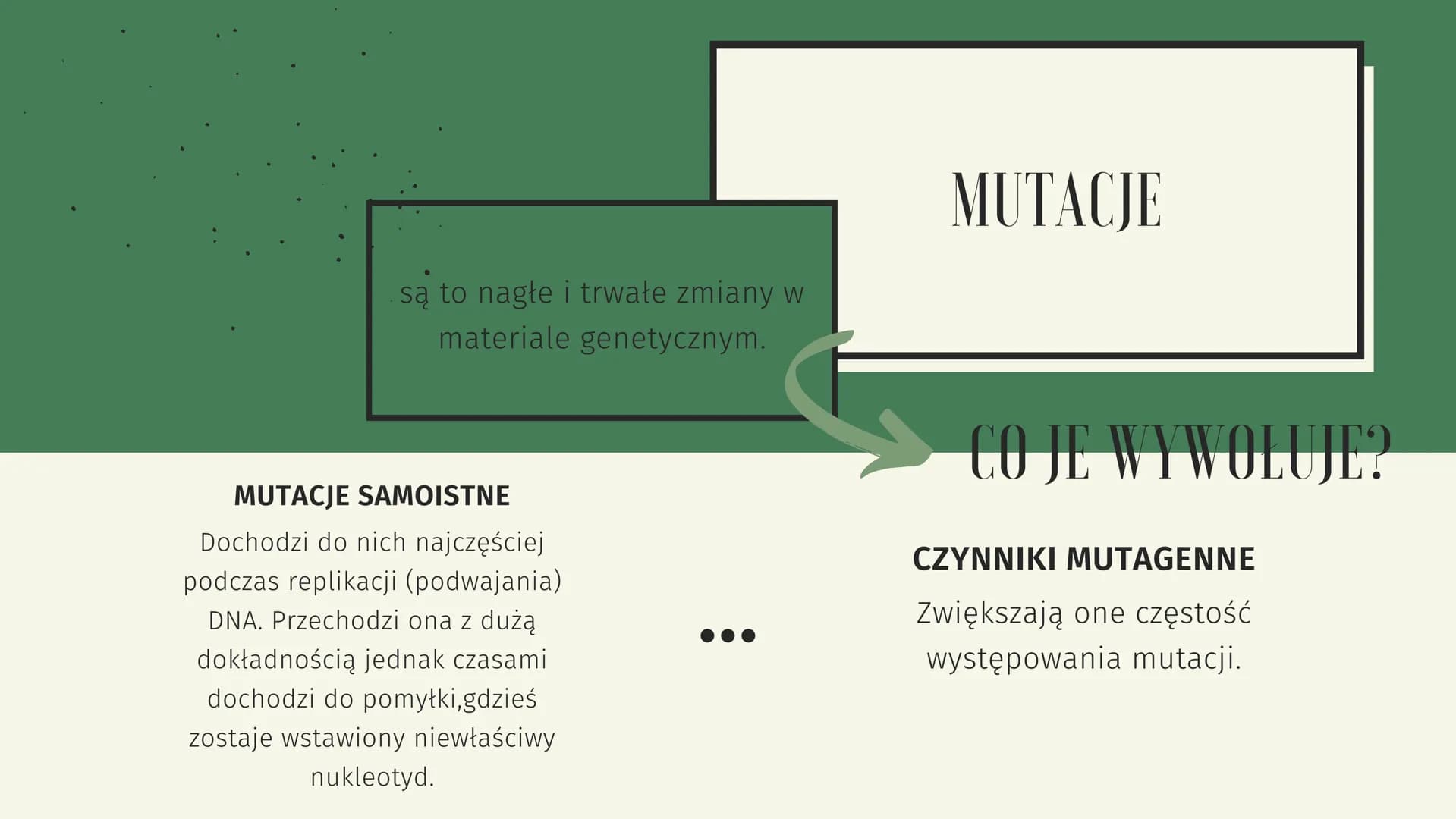MUTACJE GENETYCZNE ZMIENNOŚĆ
OSOBNIKI POTOMNE
MAJĄ INDYWIDUALNE
CECHY OSOBNICZE
JEST TO
RÓŻNORODNOŚĆ W
OBRĘBIE GATUNKU.
M
✓
1 ZMIENNOŚĆ NIED