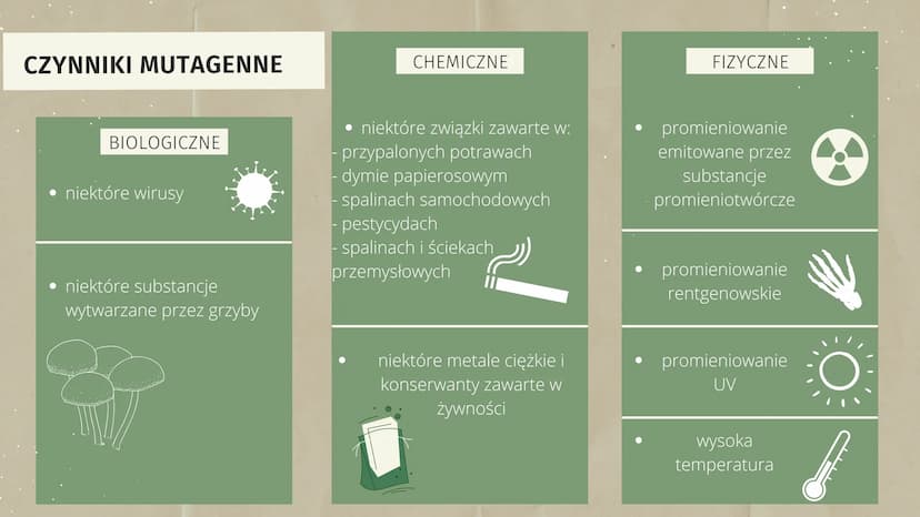 MUTACJE GENETYCZNE ZMIENNOŚĆ
OSOBNIKI POTOMNE
MAJĄ INDYWIDUALNE
CECHY OSOBNICZE
JEST TO
RÓŻNORODNOŚĆ W
OBRĘBIE GATUNKU.
M
✓
1 ZMIENNOŚĆ NIED