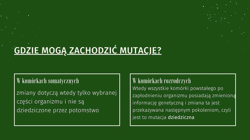 MUTACJE GENETYCZNE ZMIENNOŚĆ
OSOBNIKI POTOMNE
MAJĄ INDYWIDUALNE
CECHY OSOBNICZE
JEST TO
RÓŻNORODNOŚĆ W
OBRĘBIE GATUNKU.
M
✓
1 ZMIENNOŚĆ NIED