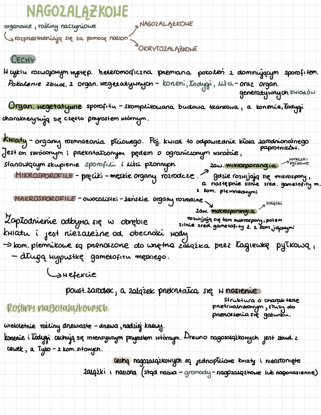 NaGozalążKOWE NAGOZALĄZKOWE
organowce, rośliny naczyniowe
Grozprestneniają się za pomocą nasion.
NAGOZALĄZKOWE
OKRYTOZALĄZKOWE
CECHY
W cyklu
