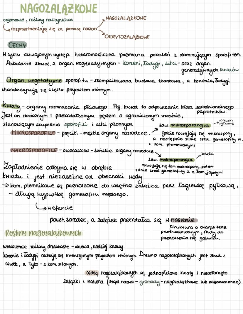 NaGozalążKOWE NAGOZALĄZKOWE
organowce, rośliny naczyniowe
Grozprestneniają się za pomocą nasion.
NAGOZALĄZKOWE
OKRYTOZALĄZKOWE
CECHY
W cyklu