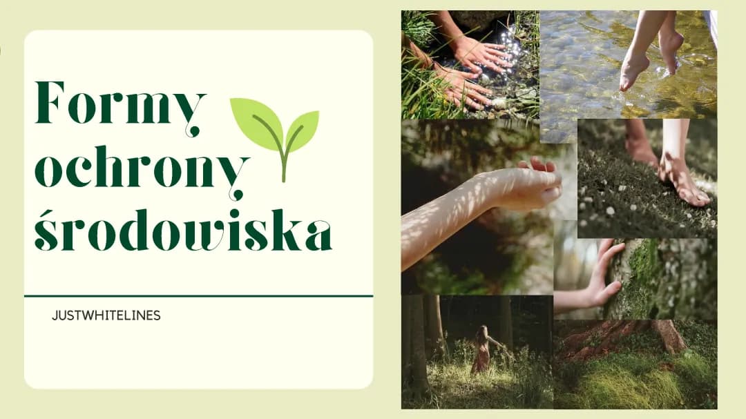 Formy ochrony środowiska