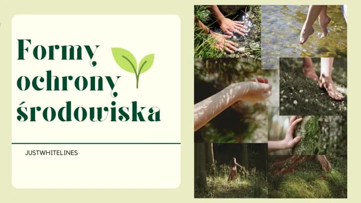 Know Formy ochrony środowiska thumbnail