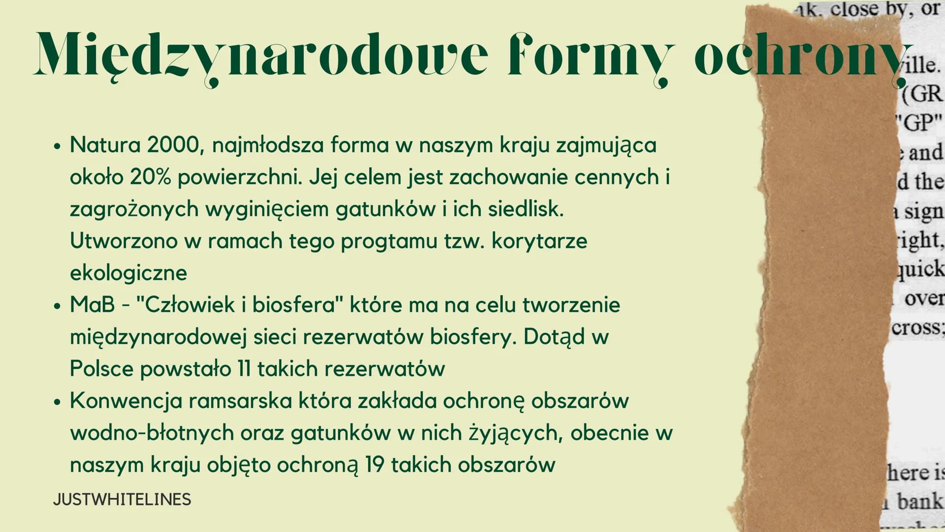Formy
ochrony
środowiska
JUSTWHITELINES Czym jest ochrona środowiska?
Ochrona środowiska
Zespół idei, środków i działań
mających na celu utr