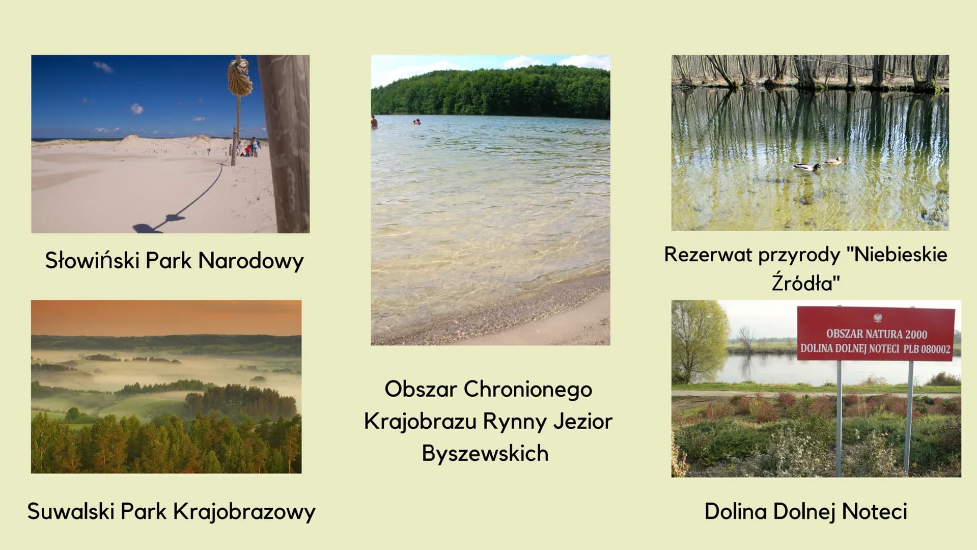Formy
ochrony
środowiska
JUSTWHITELINES Czym jest ochrona środowiska?
Ochrona środowiska
Zespół idei, środków i działań
mających na celu utr