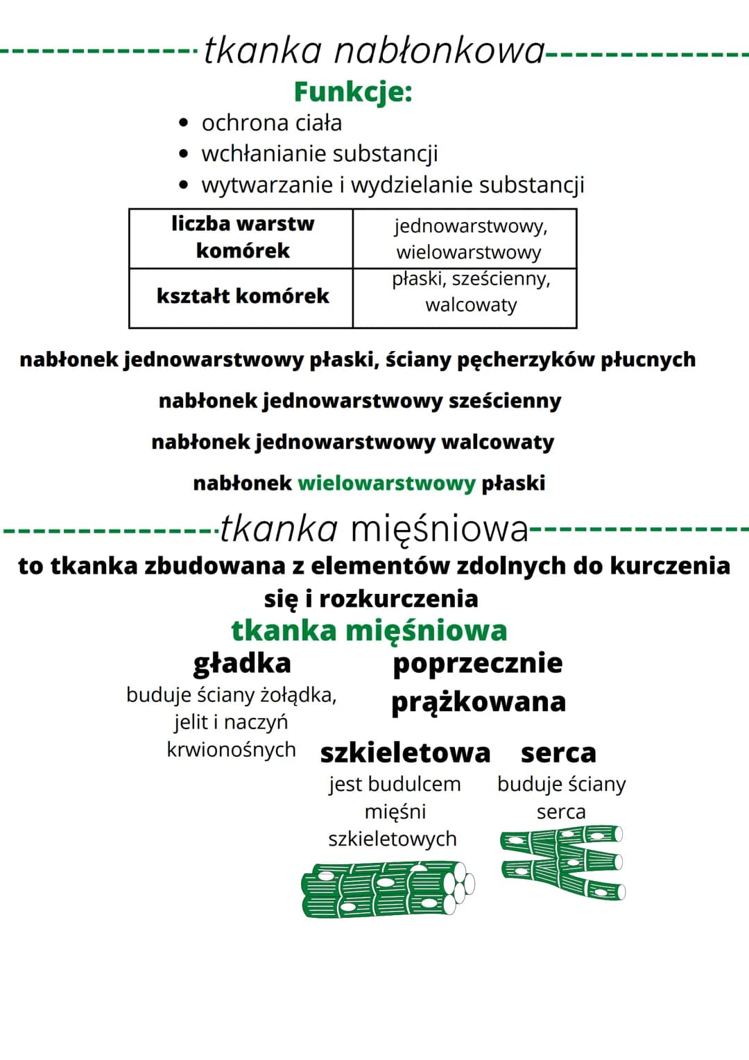 • są organizmami wielokomórkowymi
• są zbudowane z komórek jądrowych,
które nie mają ściany komórkowej i
chloroplastów
• są organizmami cudz