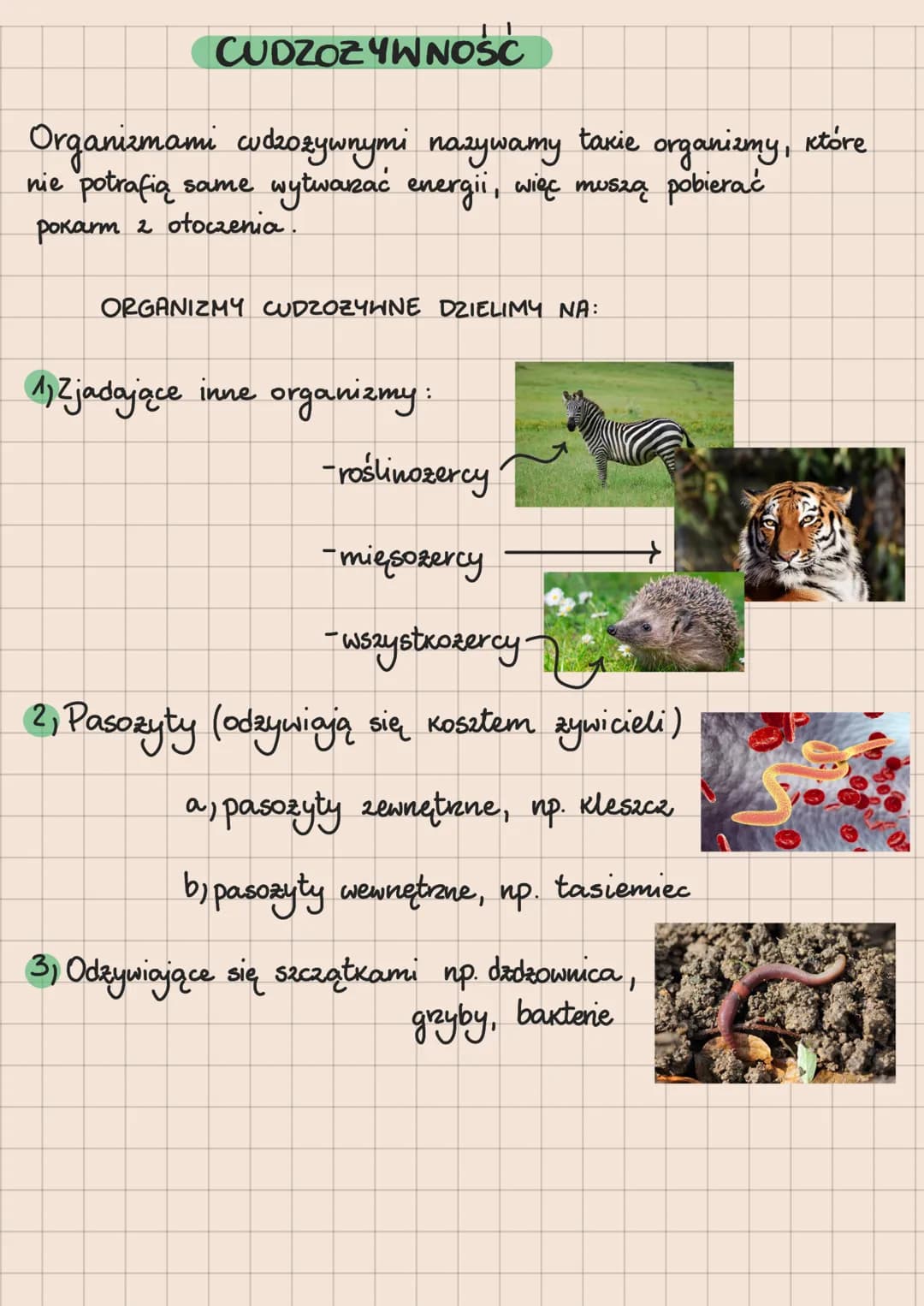 CUDZOZYWNOŚC
Organizmami cudzozywnymi nazywamy takie organizmy, które
nie potrafią same wytwarzać energii, więc muszą pobierać
pokarm 2 otoc