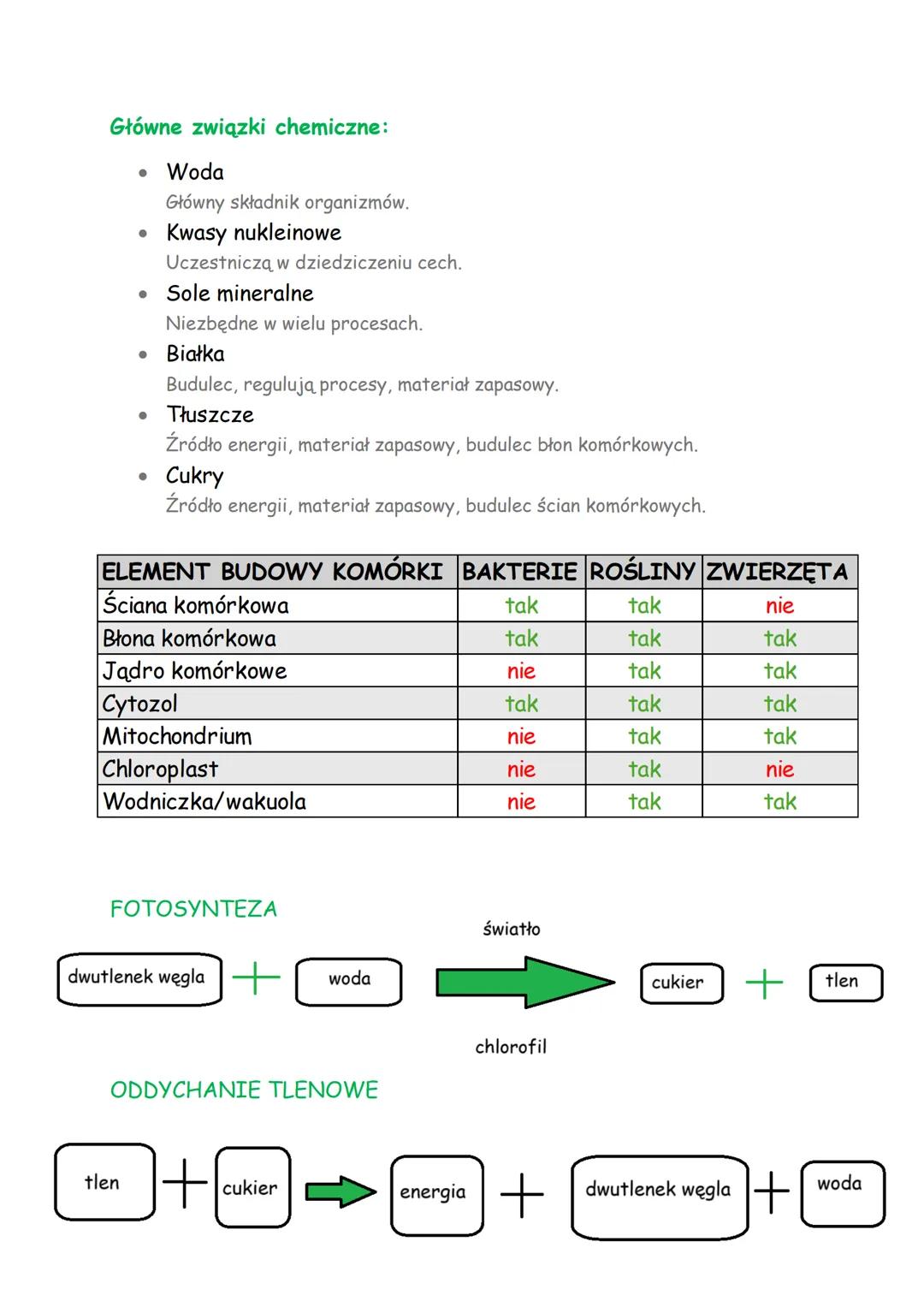 --- OCR Start ---
Temat: Powtórzenie działu II Organizacja i chemizm
życia".
Hierarchiczna budowa:
- Komórka,
- Tkanka,
- Narząd/organ,
- Uk