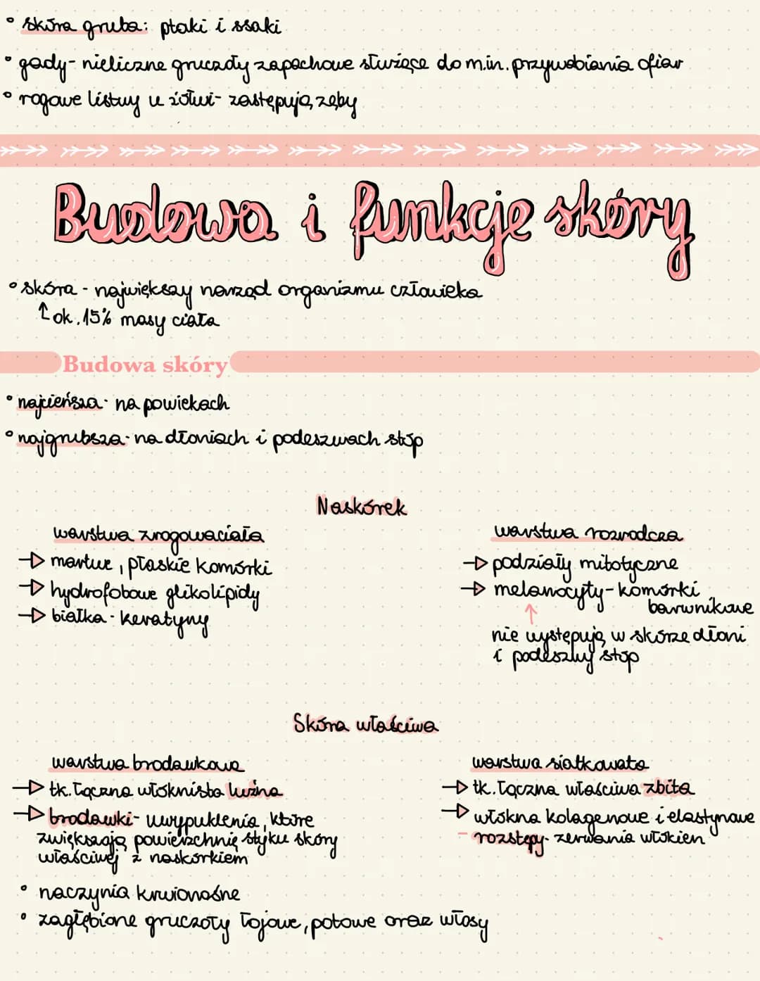 Uklad powłokowy u zwierząt
Funkcje powłoki ciała
• u zwierząt wodnych wyrostki powłoki ciała służą do vymiany gazavý.
narządy świetline - gr