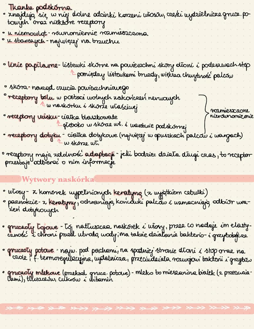 Uklad powłokowy u zwierząt
Funkcje powłoki ciała
• u zwierząt wodnych wyrostki powłoki ciała służą do vymiany gazavý.
narządy świetline - gr
