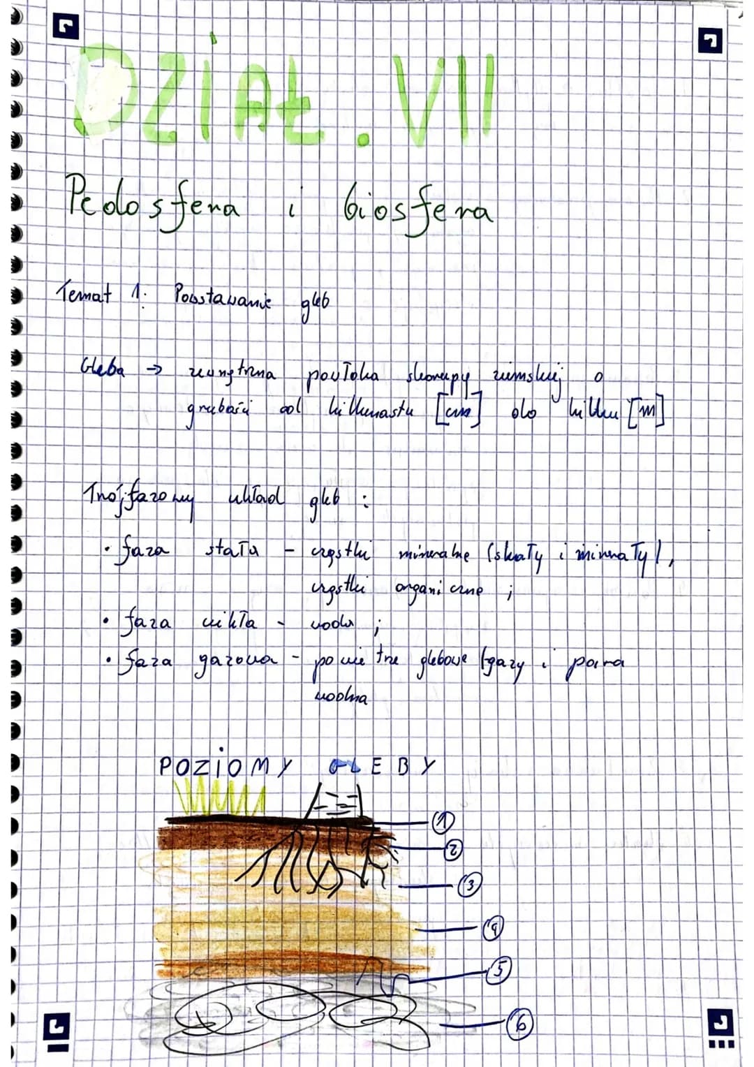 7
TALVI
biosfera
Pedosfera
Temat 1. Powstawanie
JI
L
дио
Gleba > zewnętrzna powłoka
grubość ool hi Ulumasta [cm]
Tho fazo my ulard 966
gleb
