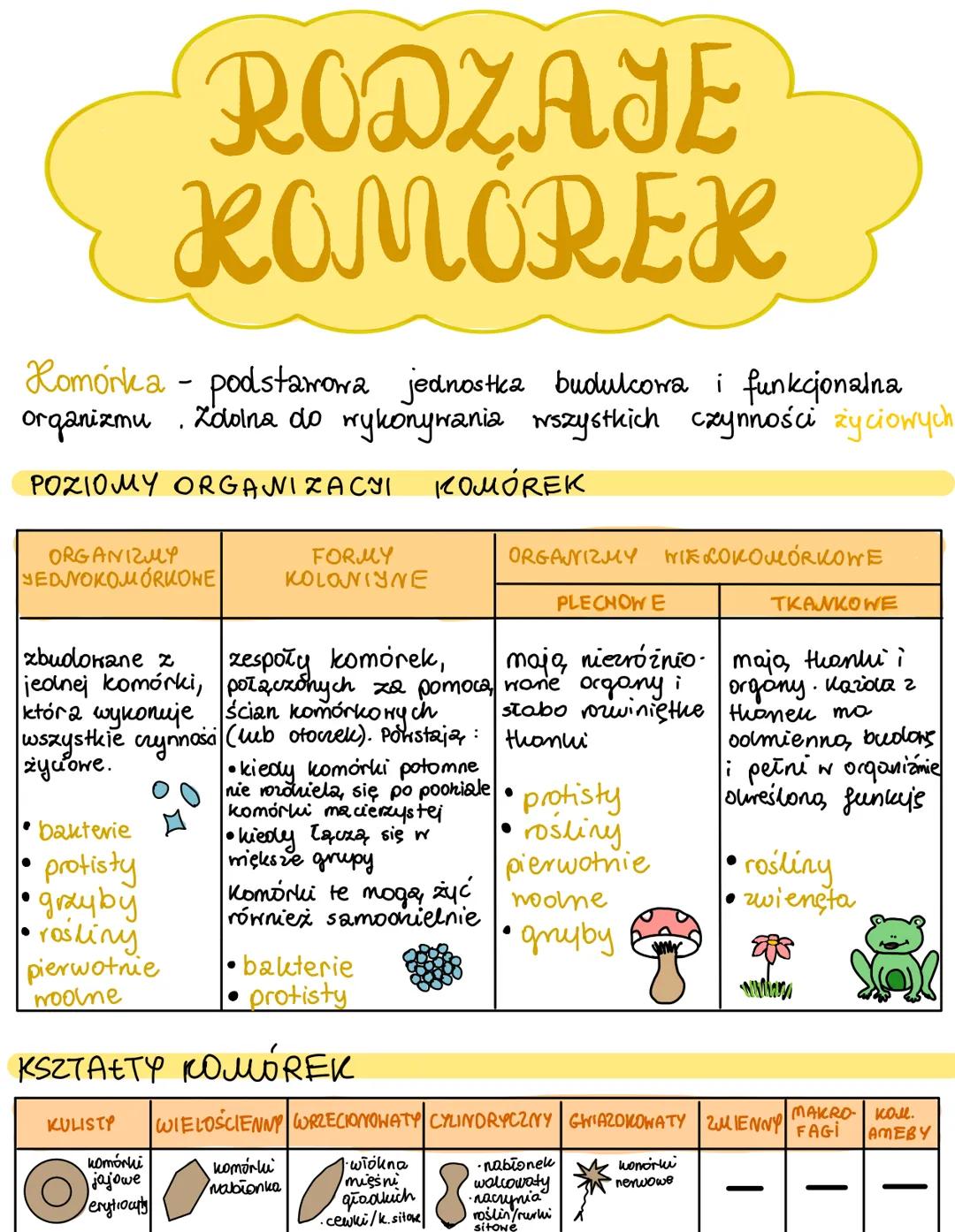 
<p>Komórka jest podstawową jednostką budulcową i funkcjonalną organizmu, zdolną do wykonywania wszystkich czynności życiowych. Istnieją róż