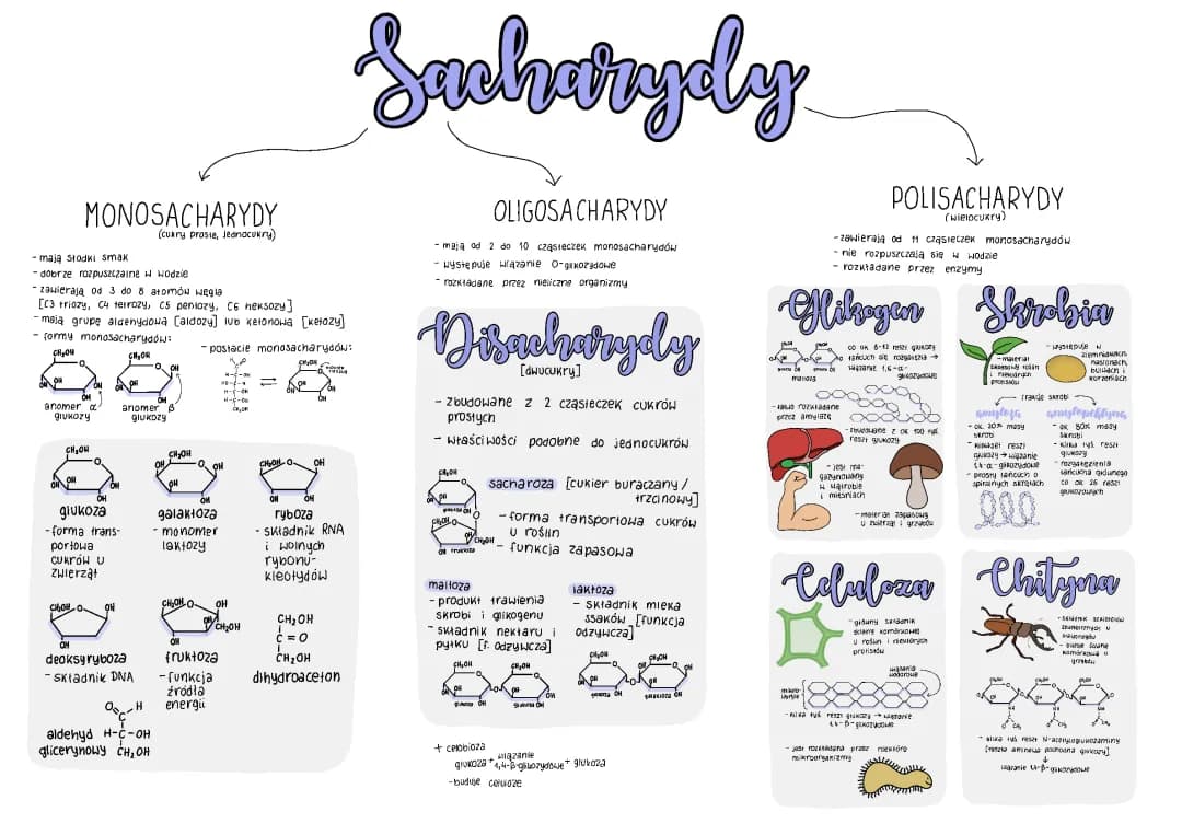 Sacharydy