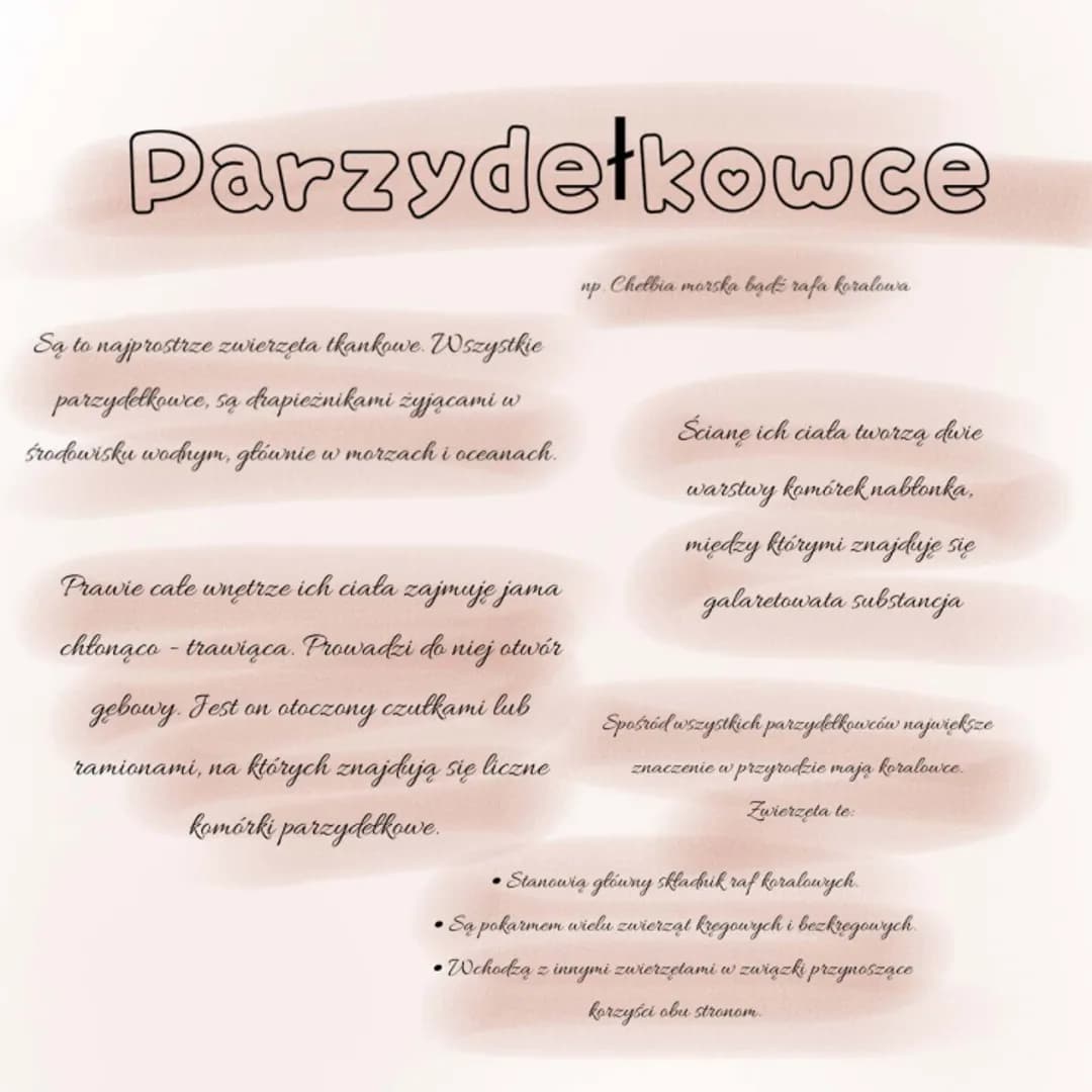 Parzydełkowce
Są to najprostrze zwierzęta tkankowe. Wszystkie
parzydelkowce, sa drapieżnikami żyjącami w
środowisku wodnym, głównie w morzac