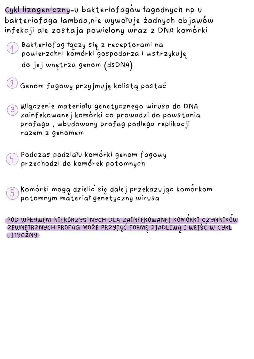 Wirusy
-> nie są organizmami, nie mają budowy
komórkowej, nie charakteryzuje ich własny
metabolizm (nie oddychają, nie odżywiają,
się, nie w