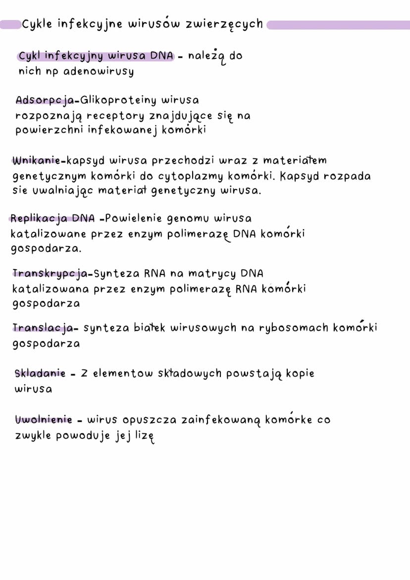 Wirusy
-> nie są organizmami, nie mają budowy
komórkowej, nie charakteryzuje ich własny
metabolizm (nie oddychają, nie odżywiają,
się, nie w