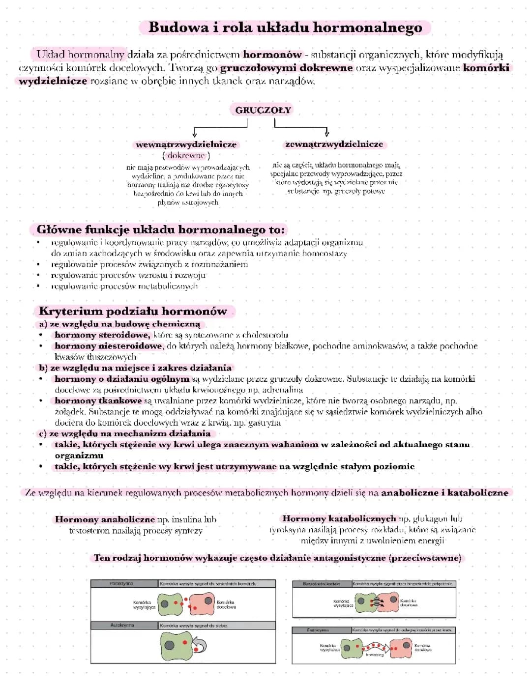 Układ hormonalny – budowa i rola w organizmie