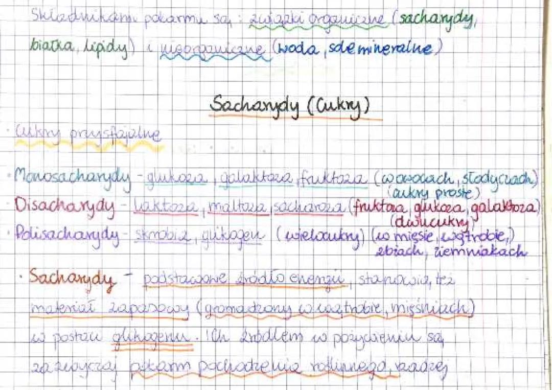 Ważne składniki odżywcze dla organizmu