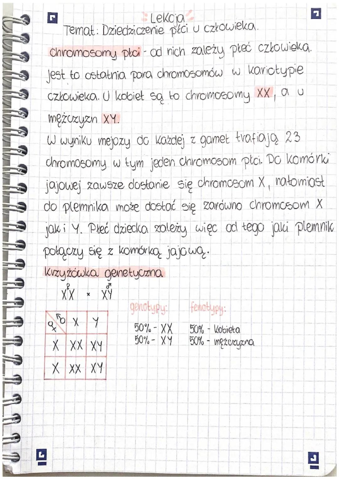 biologia dziedziczenie płci u człowieka 