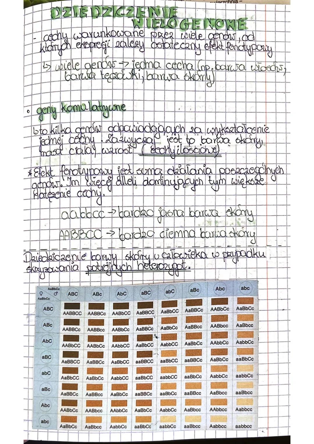 Dziedziczenie Wielogenowe – Kluczowe Zagadnienia i Przykłady