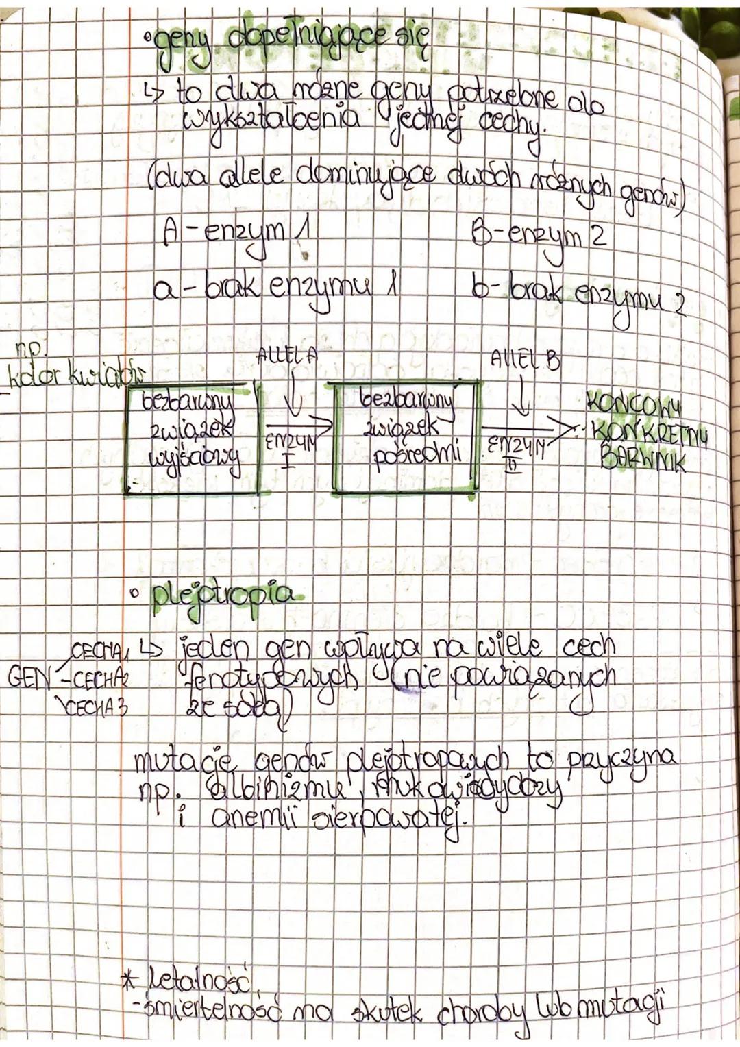 # DZIDZCZENIE
WIELOGENONE
- cechy warunkowane przez wiele genow, od
których ekspresji zalezy cotateczny efekt fenctypowy
> wiele gendas jecm