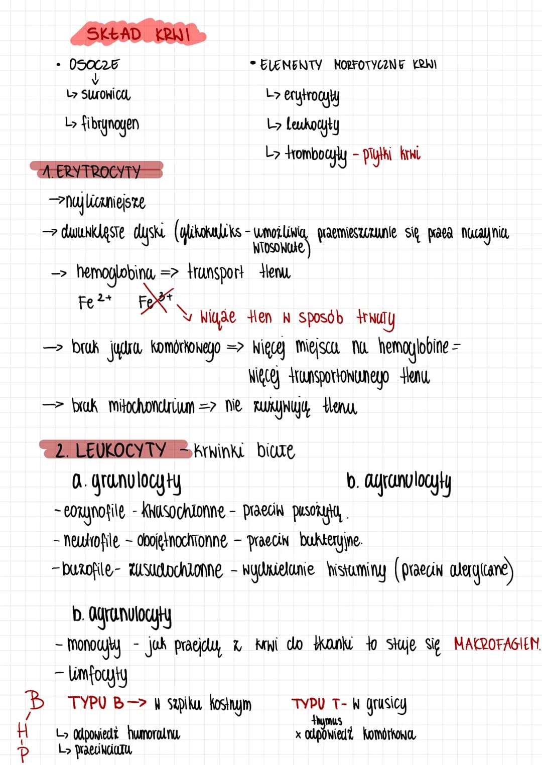 Tkanki zwierzęce
1. Nabtonek jednowarstwoNy praske
→buduje ściany pęcherzyków pracnych
wyściela naczynia krwionosne i chłonne
-> tativia dyf
