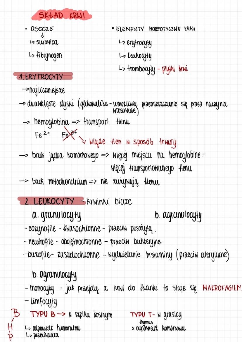 Tkanki zwierzęce
1. Nabtonek jednowarstwoNy praske
→buduje ściany pęcherzyków pracnych
wyściela naczynia krwionosne i chłonne
-> tativia dyf