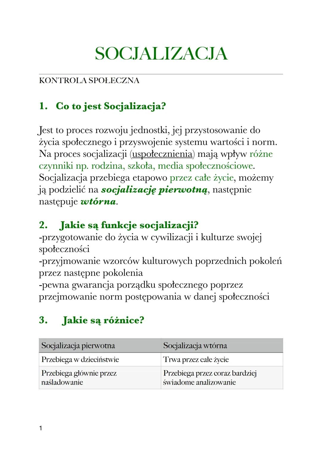 Socjalizacja