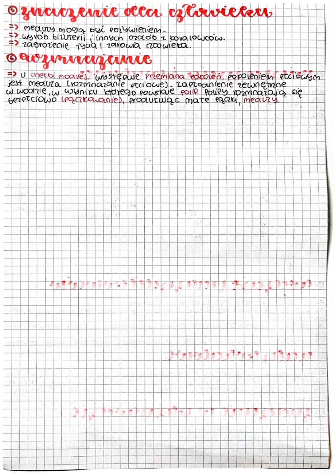 biologia
orriejsce życia i budowa
Panzydetkowce są drapieżnikami żyjącymi tylko w środowisku wodnym.
są zbudowane 2: komórek Panyaetkowych, 