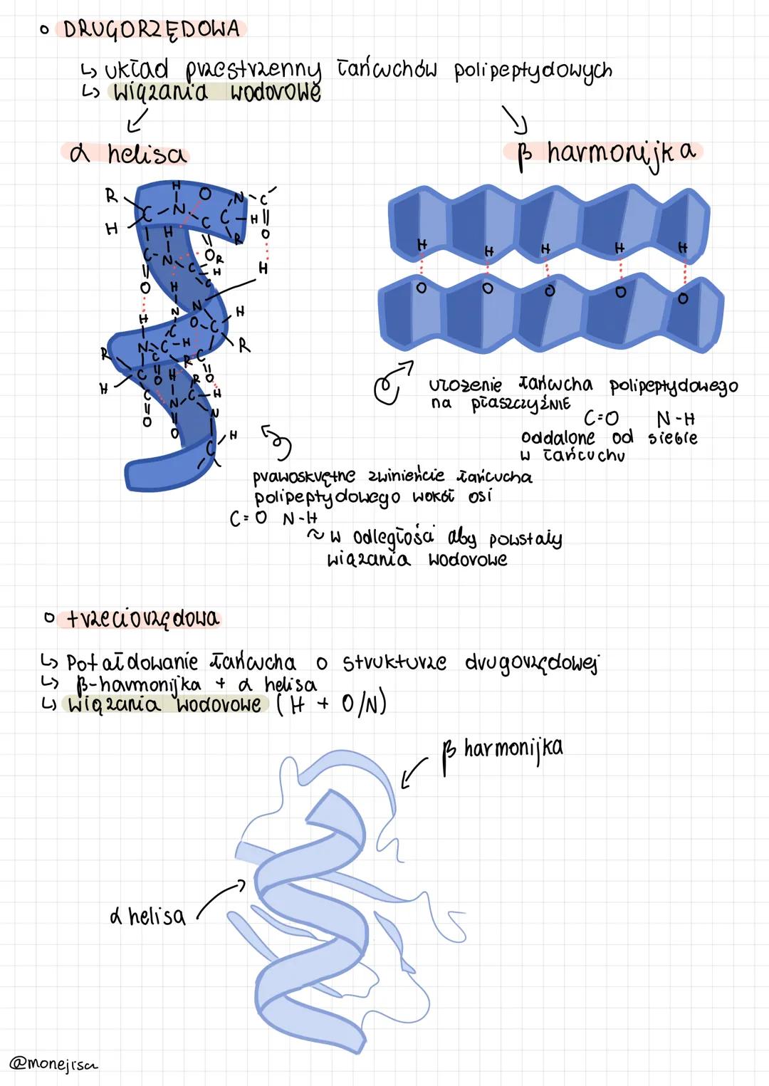 BUDOWA BIAŁEK
WIĄZANIE PEPTYDOWE
H)N-
H
N-Koniec
STRUKTURY BIAŁEK
• PIERWSZORZĘDOWA
H
@monejisa
O
O=
C-
CH
1
R₁
-
1
H
|
H
wiązanie
peptydowe