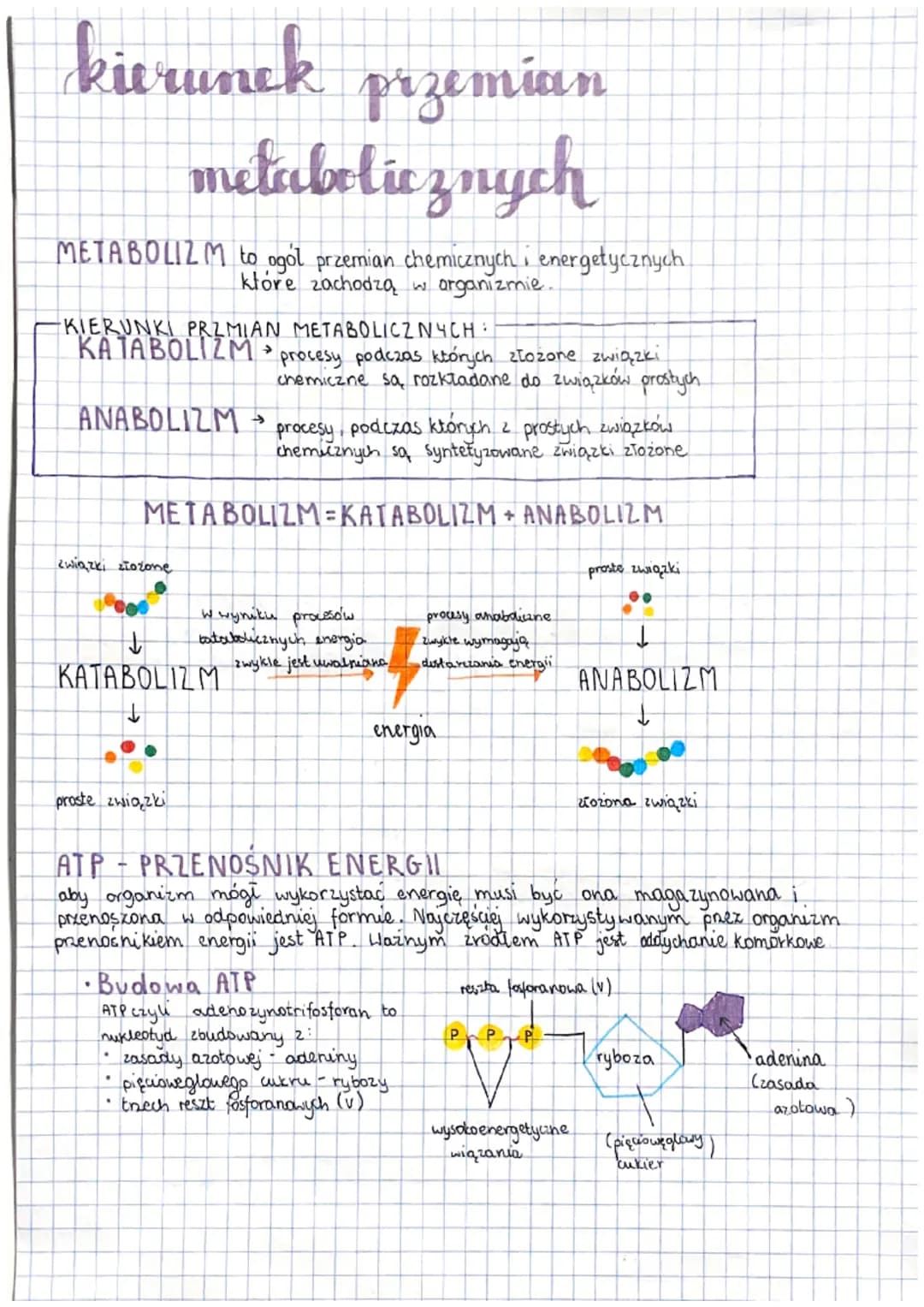 kierunek przemian
metabolicznych
METABOLIZM to ogól przemian chemicznych i energetycznych
które zachodzą w organizmie.
KIERUNKI PRZMIAN META