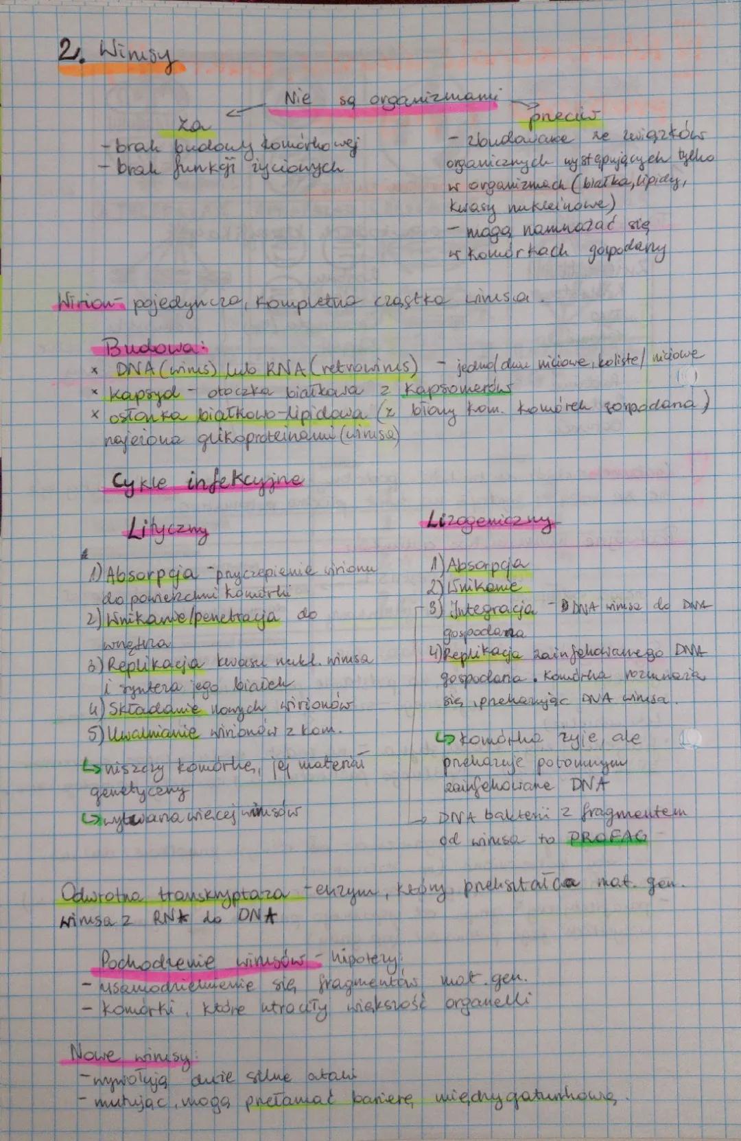 Budowa Wirusów z Diagramami - Biologia na Czasie