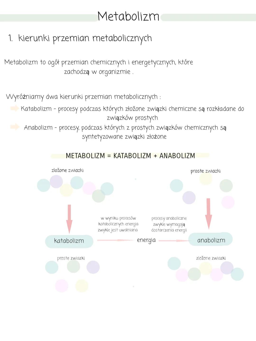 Podstawowe zasady metabolizmu - procesy metaboliczne i przemiany ATP