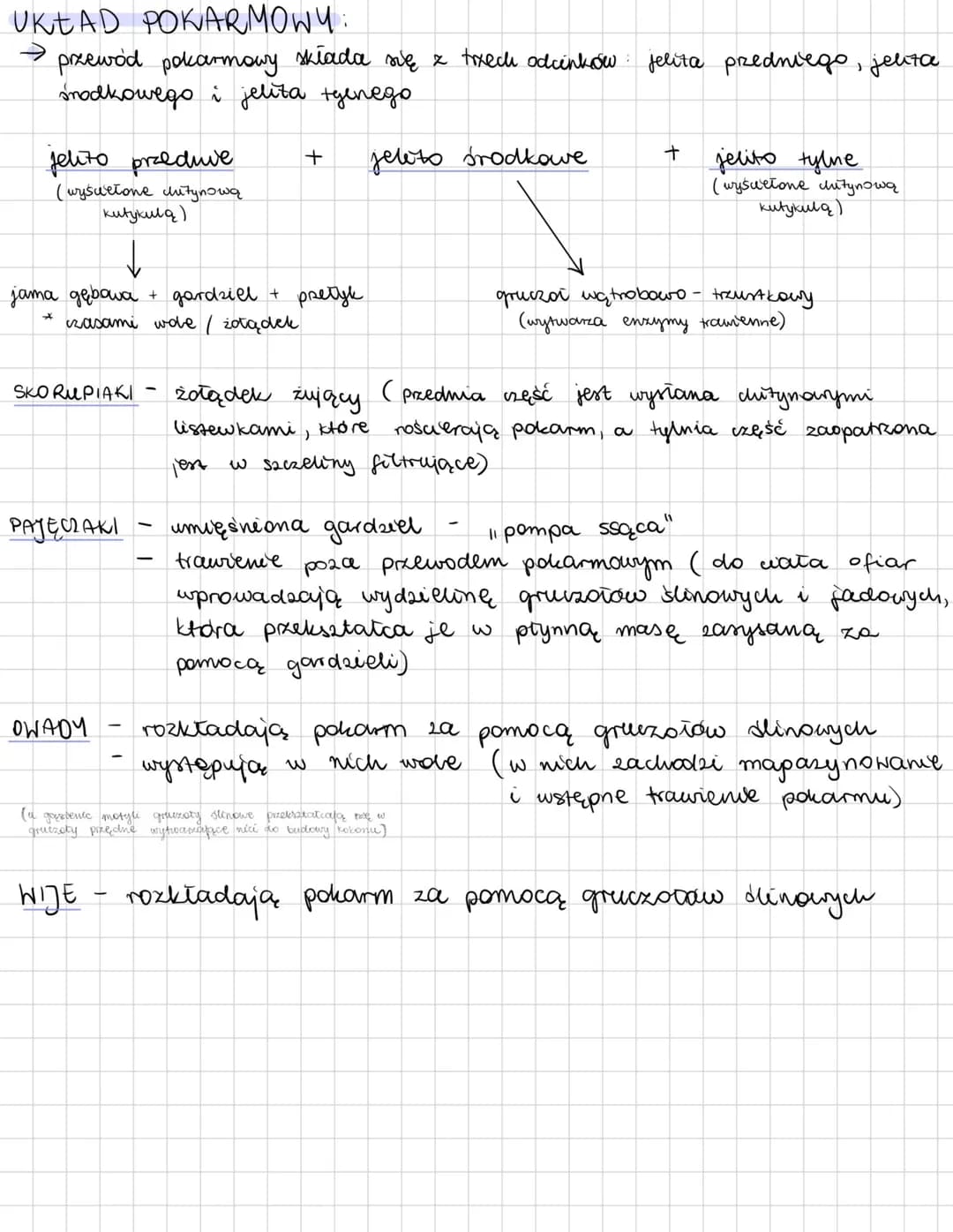 --- OCR Start ---
SZCZEKOCZUŁKO PODOBNE
TCHAWKODYSINE
SKORU PIAKI
PAJĘCZAKI
OWADY
WDE
• sureneta
• sureneta głównie
• sureneta głównie
• zwi