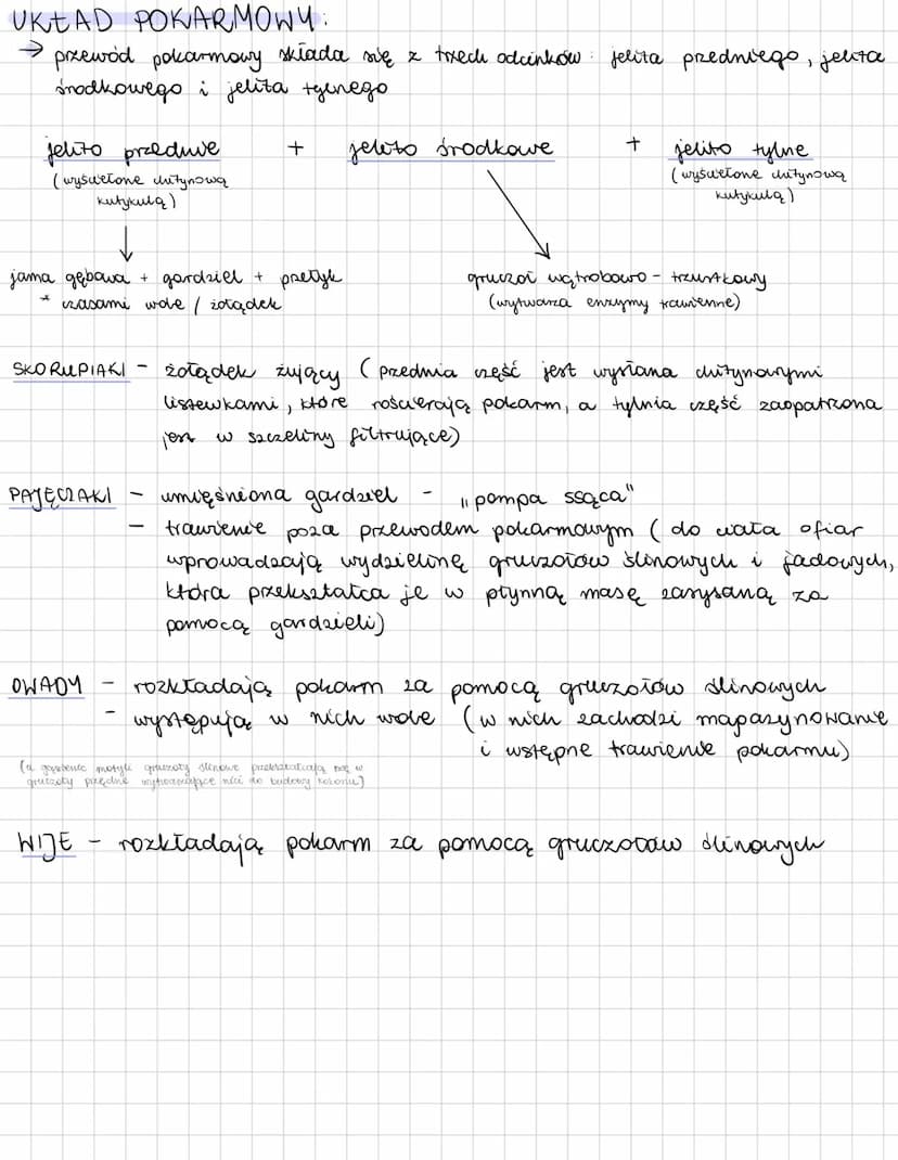 --- OCR Start ---
SZCZEKOCZUŁKO PODOBNE
TCHAWKODYSINE
SKORU PIAKI
PAJĘCZAKI
OWADY
WDE
• sureneta
• sureneta głównie
• sureneta głównie
• zwi