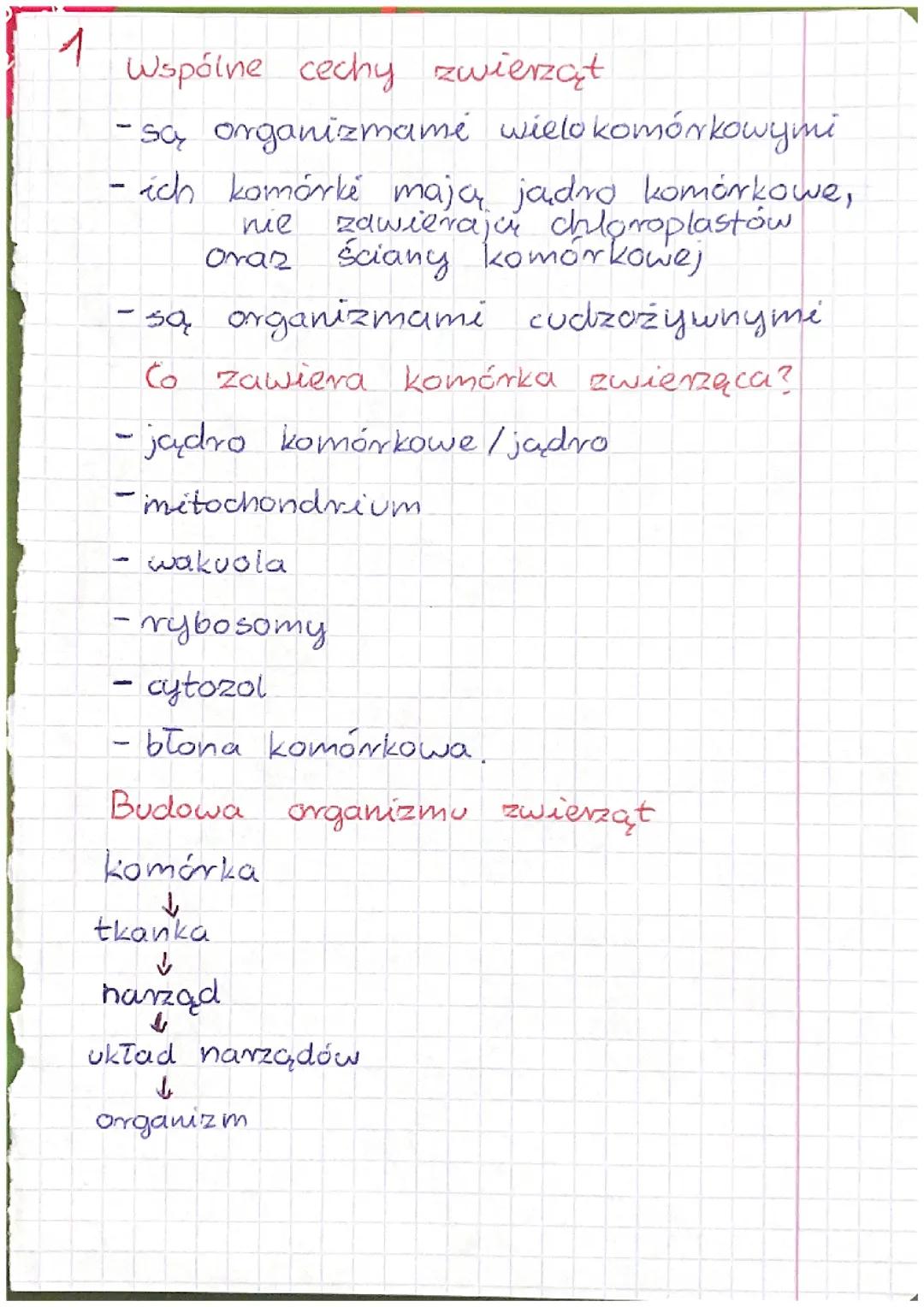 Dział 1 biologia klasa 6