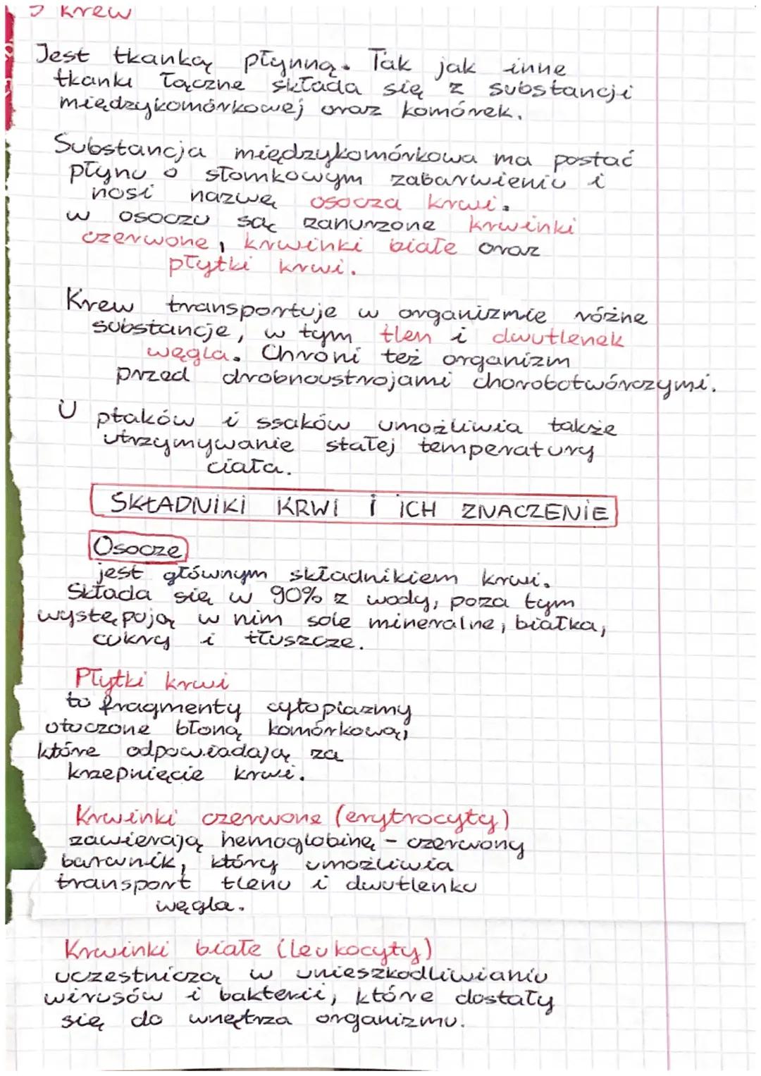 1
Wspólne cechy zwierząt
- są organizmami wielo komórkowymi
- ich komórké mają jądro komórkowe,
zawierają chloroplastów
nie
oraz ściany komó