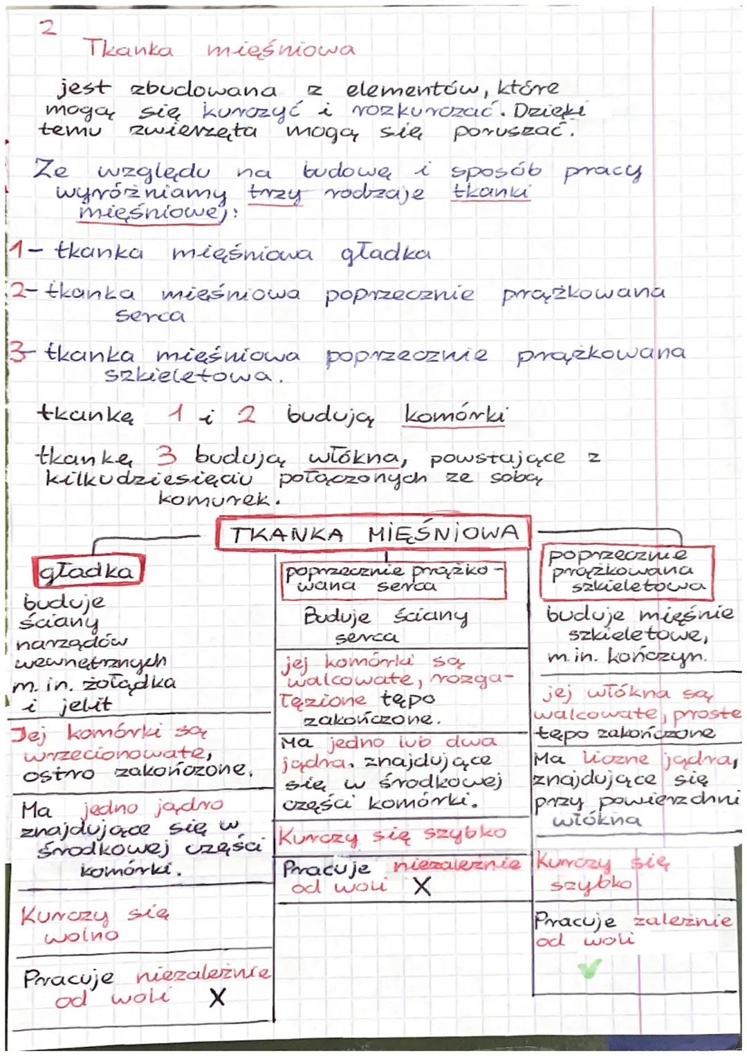 1
Wspólne cechy zwierząt
- są organizmami wielo komórkowymi
- ich komórké mają jądro komórkowe,
zawierają chloroplastów
nie
oraz ściany komó