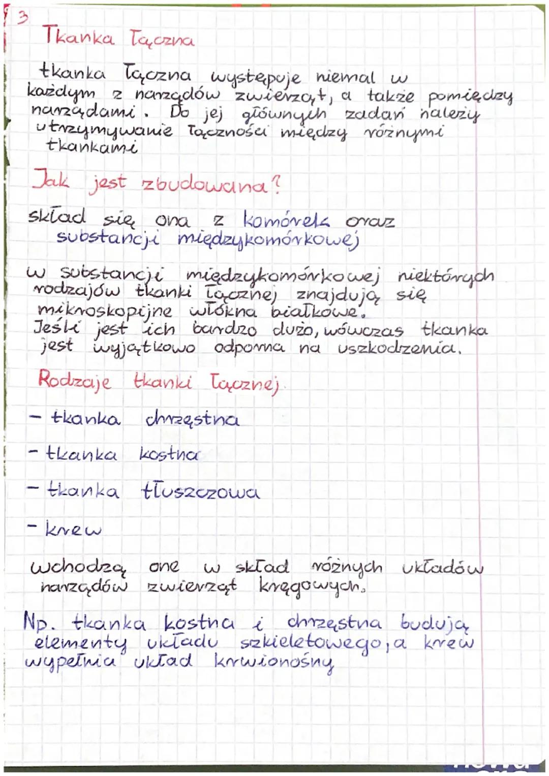 1
Wspólne cechy zwierząt
- są organizmami wielo komórkowymi
- ich komórké mają jądro komórkowe,
zawierają chloroplastów
nie
oraz ściany komó