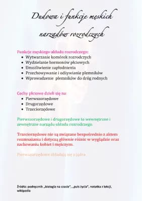 Know Męski układ rozrodczy  thumbnail